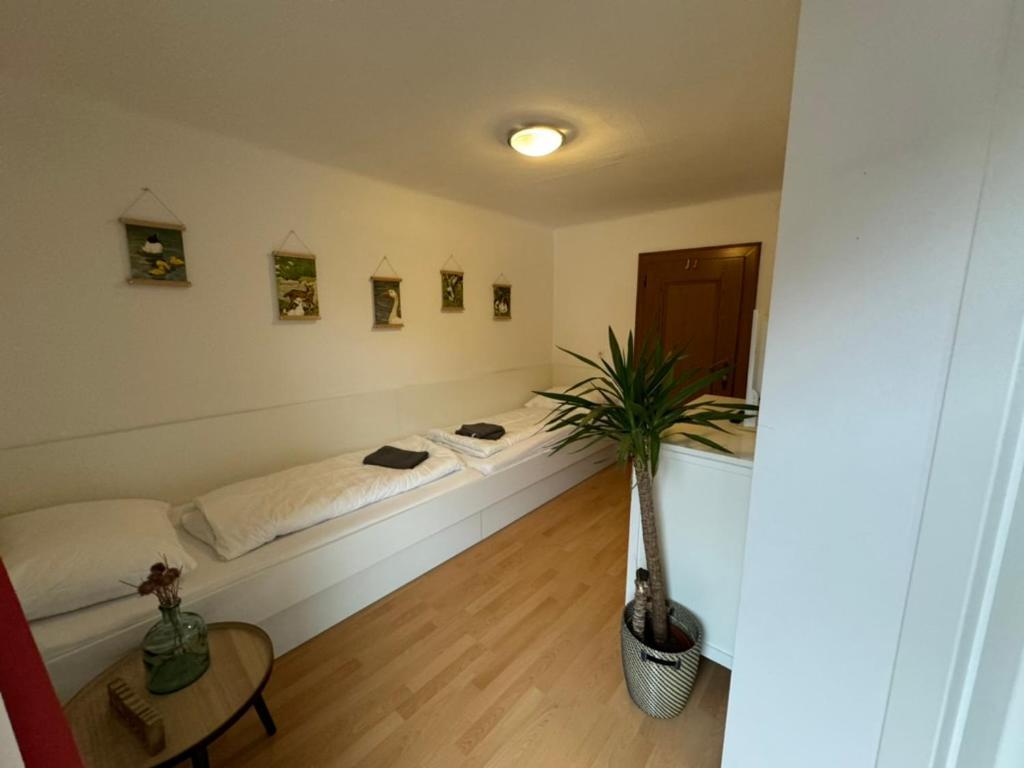 Go For Mountains Appartements Eben Im Pongau Zewnętrze zdjęcie